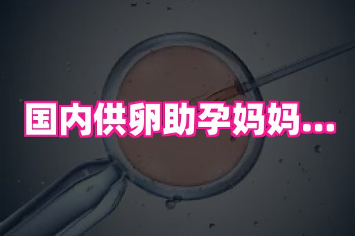 福建助孕网站 3